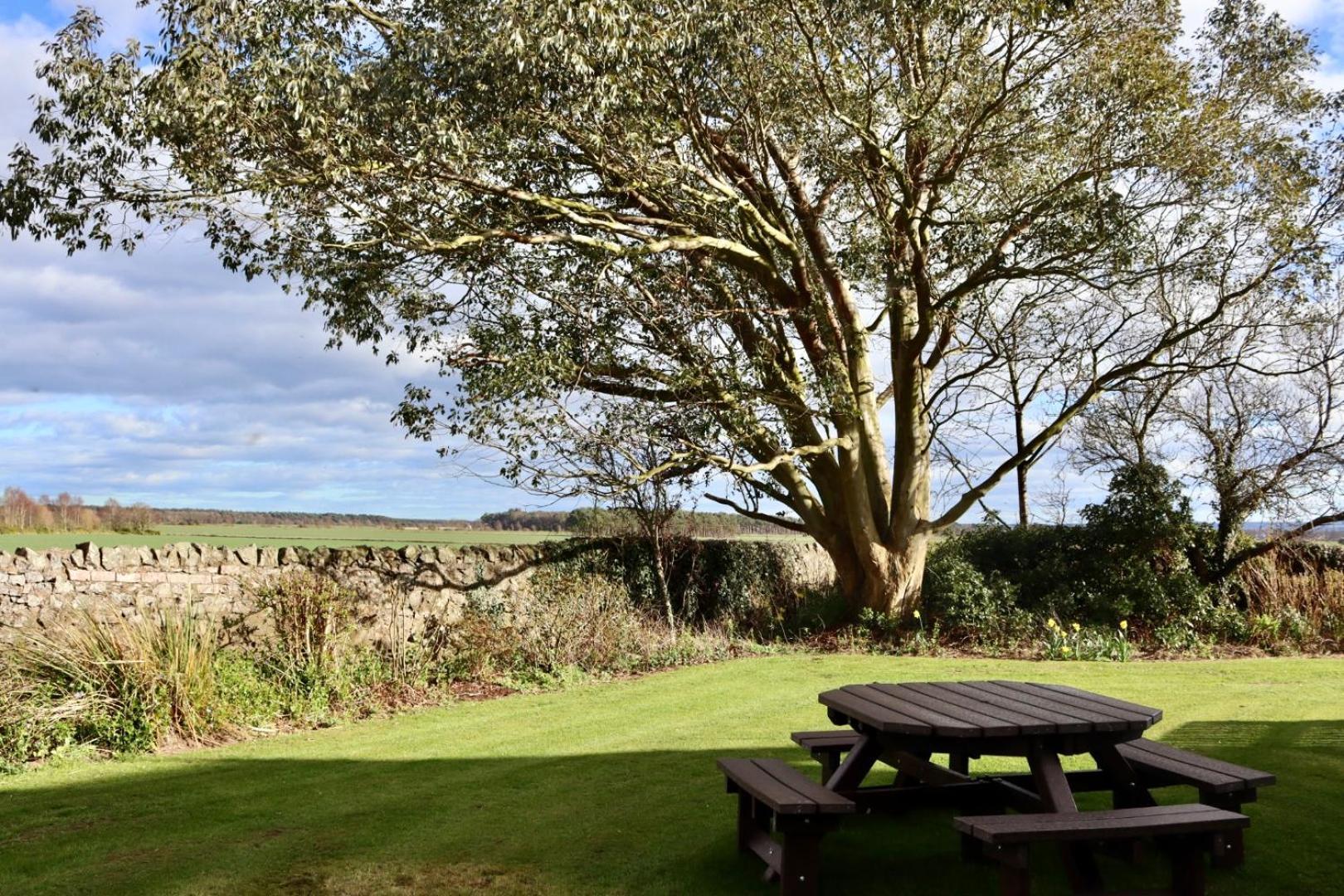 Vicarsford Farmhouse With Hot Tub Leuchars Exteriér fotografie